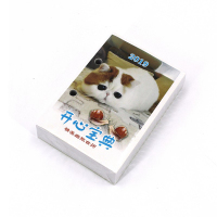 正彩 台历芯TR-2(AA)4.5cm孔距