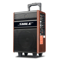 狮乐BX-101壁挂音响 对箱