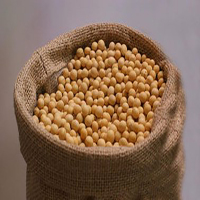 金唐(KTANG) 小黄豆(袋)25kg