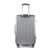 DS-13002银色拉杆箱