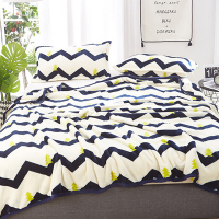 南极人冬季暖和云貂绒毯子 盖毯