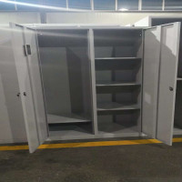 飞宇 二门更衣柜 储物柜 钢制更衣柜 二门铁皮柜 900*500*1850mm