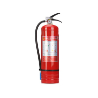 神龙 干粉灭火器 2KG SLGF2KG