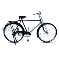 凤凰(PHOENIX)自行车