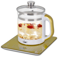 联创(Lian)方形玻璃养生壶DF-EP0821M