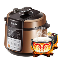 苏泊尔(SUPOR) CYSB60YC17Q-110 美味系列智能球釜电压力锅