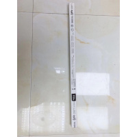 TCL 灯管 T8 40cm 单只装