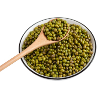 绿豆 豆芽豆颗粒饱满肉多皮薄370g 清热解暑 绿豆粥