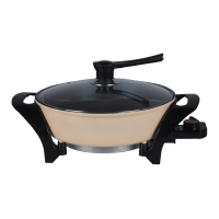 鸳鸯电火锅 盛世