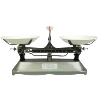 天马 JPT-10 1000g/1g 托盘天平 (计价单位:台)