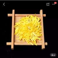 金丝黄菊-菊花茶盛世