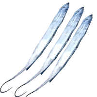 WECOOK冰鲜银丝带带鱼 3号 200-300g/条*3条 海钓捕获 银光闪闪 真正冰鲜鱼 清蒸级品质