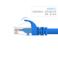 FABCOM LT-UP6-10 超六类网络跳线 10米