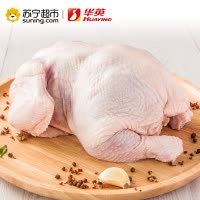 华英 赣南500天散养老母鸡 1.2kg/只 新鲜冷冻 整鸡走地鸡农家土鸡 煲鸡汤