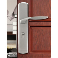 双安防盗门面板 配门锁体