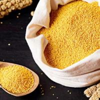 谷裕道 有机黄小米金小米1000g 小黄米 五谷杂粮 小米粥 月子米 产自呼伦贝尔大草原