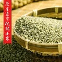 谷裕道 有机 绿小米1000g+金小米1000g 两种小米组合装 五谷杂粮 小米粥 产自呼伦贝尔大草原