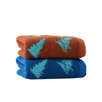 洁丽雅·兰(grace orchid)2条装洁丽雅兰新星 兰+棕 洗脸毛巾礼盒装