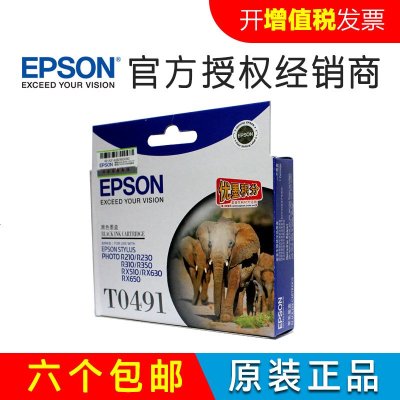 爱普生(EPSON) T0491墨盒