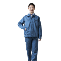 燕舞JZYGJ2017YQJ1009女式春秋工作服 (多尺寸可选) bd