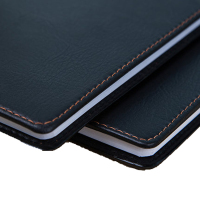 晨光(M&G)APY1AK78商务笔记本子大号日记本记事本80页 134*198mm