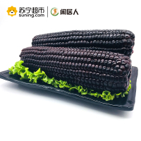 6支装约1.2kg 鲜食黑糯玉米棒 真空包装 非转基因
