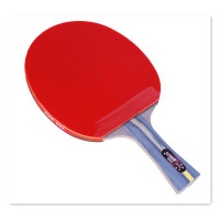 文体用品 红双喜乒乓球拍 r5006 短柄直拍