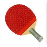 文体用品 红双喜乒乓球拍 r5007 直拍横拍
