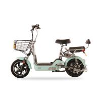 新日米粒电动车