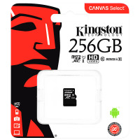 金士顿(Kingston)256GB TF(Micro SD) 存储卡 U1 C10 高速升级版 连续拍摄更流畅 终身保