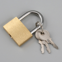 杰堡 0053 铜挂锁抽屉锁旅行箱包锁 防水防锈柜门锁 50MM