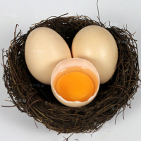 农家正宗散养土鸡蛋新鲜自养草鸡天然野鸡蛋农村柴鸡蛋