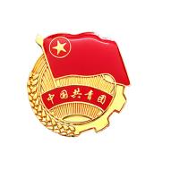 别针款 团徽 胸章带字团徽 100个装