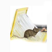 J小海牛 老鼠贴 强力粘鼠板 灭鼠神器夹药抓大老鼠胶笼捕鼠器一窝端