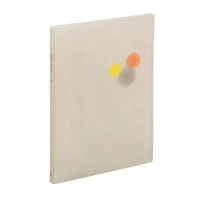 齐心( COMIX )文件袋 DC005