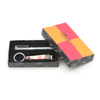 毕加索(PICASSO) 简易修容组 PS-029