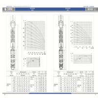 沈潜深井潜水泵200QJ(R)64-139.5-37