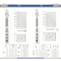 沈潜深井潜水泵250QJ（R）100-84-37