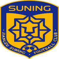 江苏苏宁足球俱乐部官方队徽魔术贴
