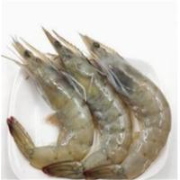 苏众(SU ZHONG) 虾类 活虾