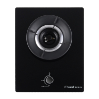 创尔特(Chant)B01黑晶煤气灶单灶 4.2KW 高能直火 天然燃气单灶