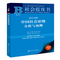 社会蓝皮书 2019年中国社会形势分析与预测*10