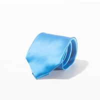 琴之韵丝光领带T001