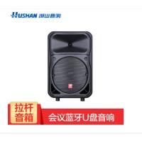 Ｊ湖山V600-701i 会议蓝牙U盘音响 10英寸音箱+ 无话筒