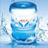 娃哈哈 19L 锐舞派对包装饮用水