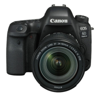 佳能（Canon） EOS 6D Mark II 单反机身