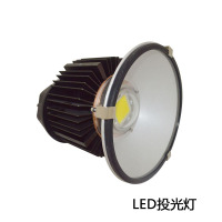 军之光(JUN ZHI GUANG) LED投光灯 DT XZG7300