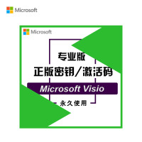 微软(Microsoft) Visio 2019专业版