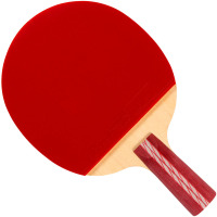 红双喜DHS乒乓球拍 直拍双面反胶弧圈结合快攻4星R4006(单块装)