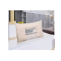 天琴 臻品御用保健枕 48*74cm TQ-J58(单位:个) 48cm*74cm 白色